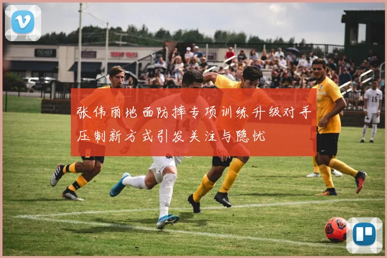 张伟丽地面防摔专项训练升级对手压制新方式引发关注与隐忧